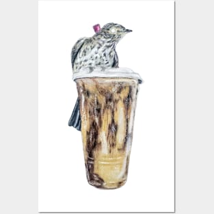 Wood Thrush Iced Coffee Posters and Art